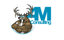 Custom Logo/Mascot Design for Consulting Company