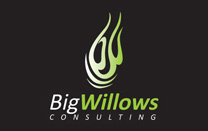 Logo Design for Consulting Company
