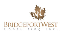Logo Design for Canadian Consulting Company