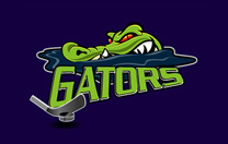 Hockey Jersey Design / Team Logo