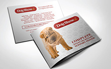 Event Software Brochure Booklet Design