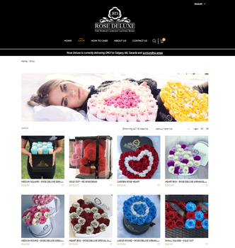 E-commerce Website Product Page Design Example Custom Website Design Example