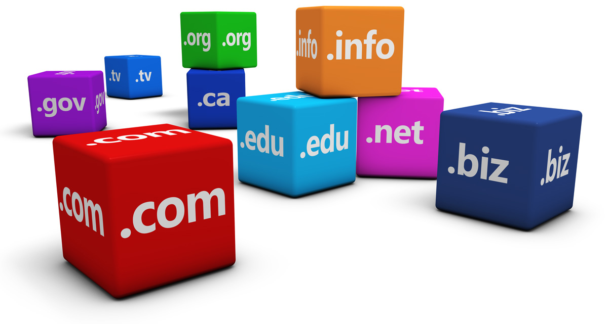 Domain Name TLD Choices